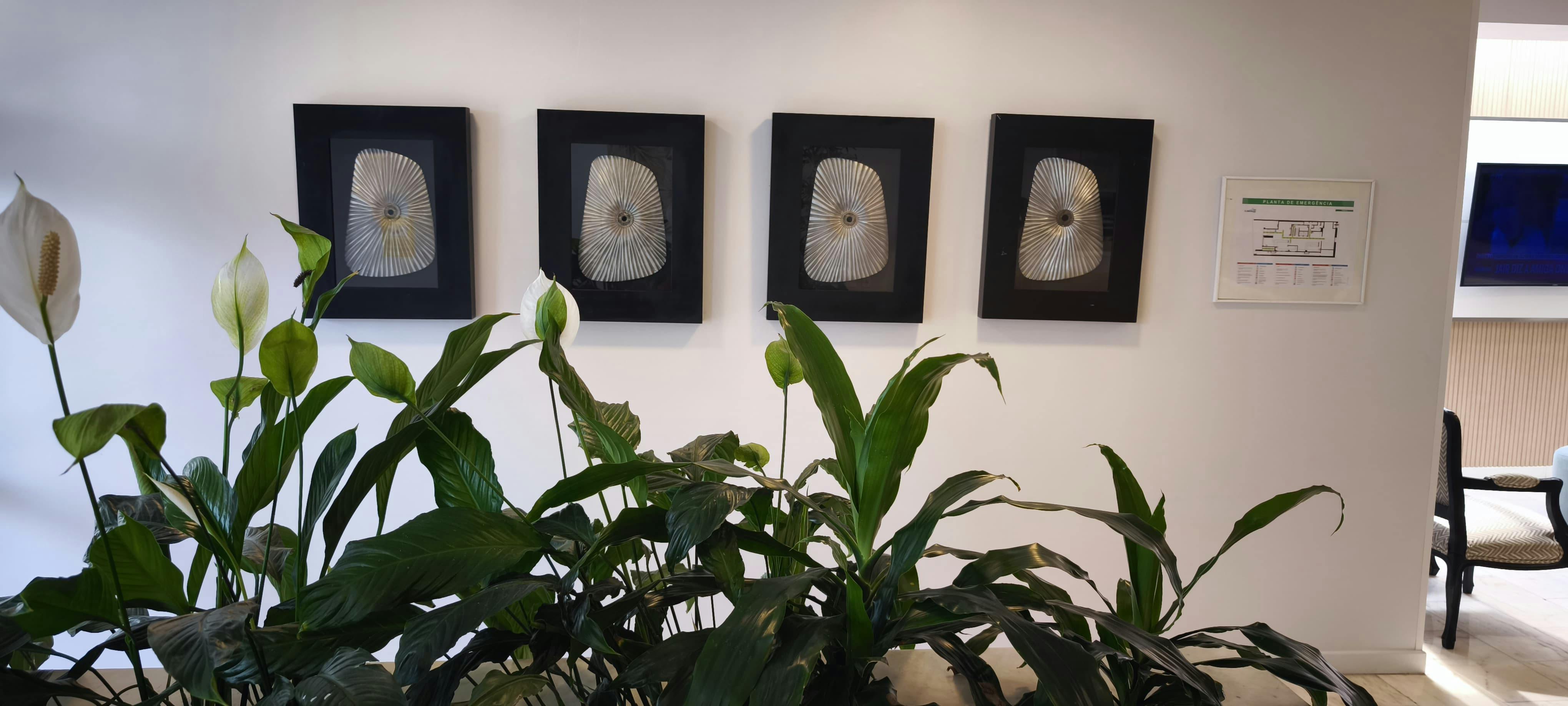 Art frames at the entrance of Hotel São Mamede Estoril, budget-friendly hotel near Estoril Casino and train station.