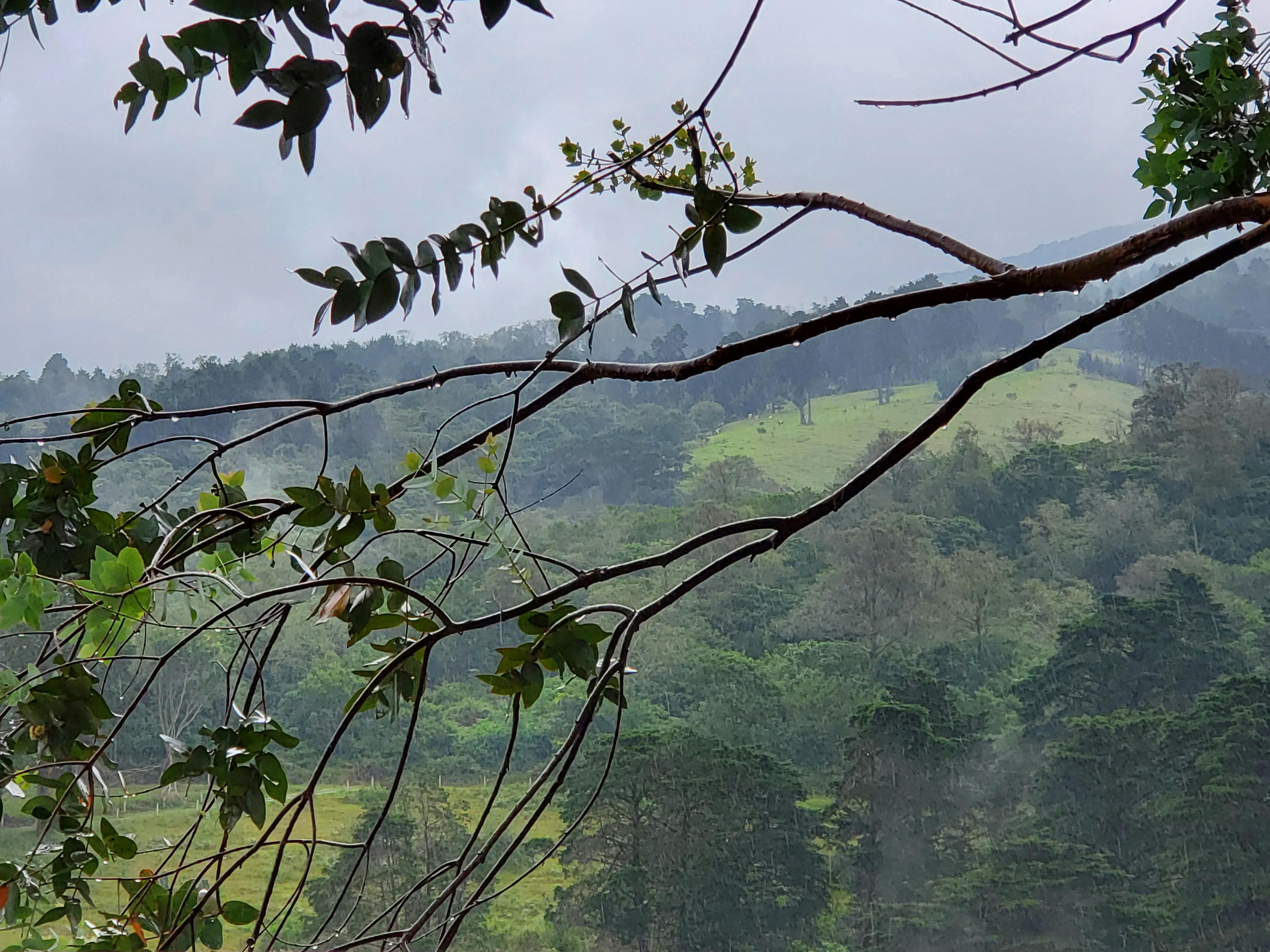View from the private balcony of the Antherium Suite