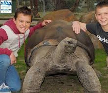 Ballarat Wildlife Park