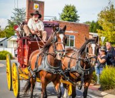 Man From snowy River Street Parade