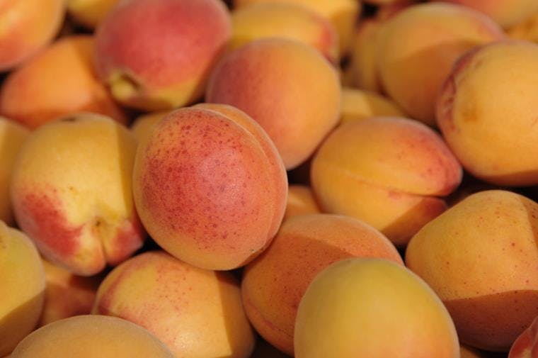 Fournisseur de l'hôtel des ducs à dijon - abricots