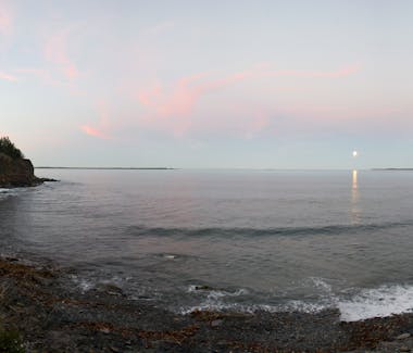 The Ovens