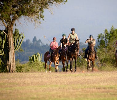 Olepangi Farm - Learn to play polo.