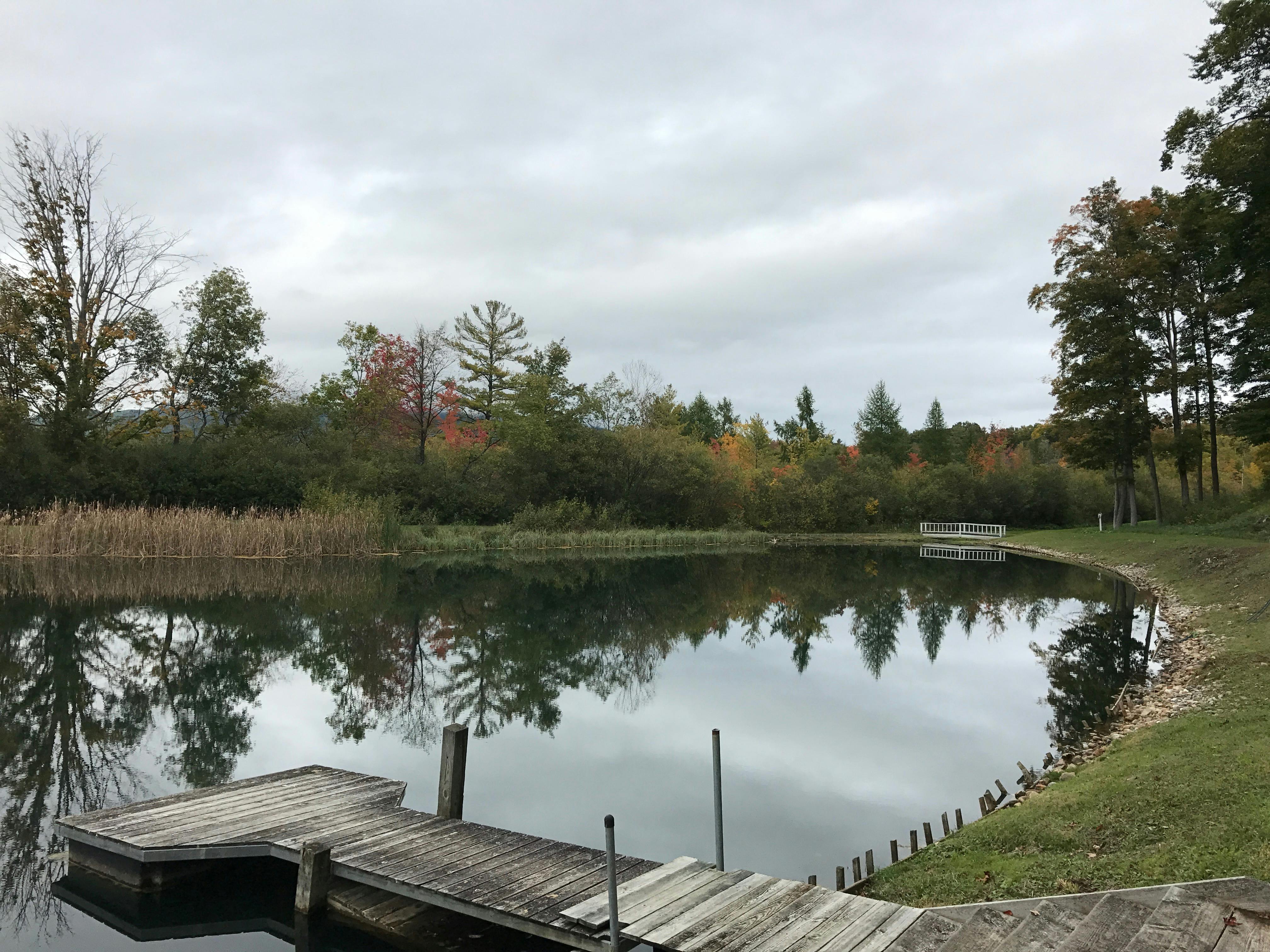 Amenities Palmer House Resort