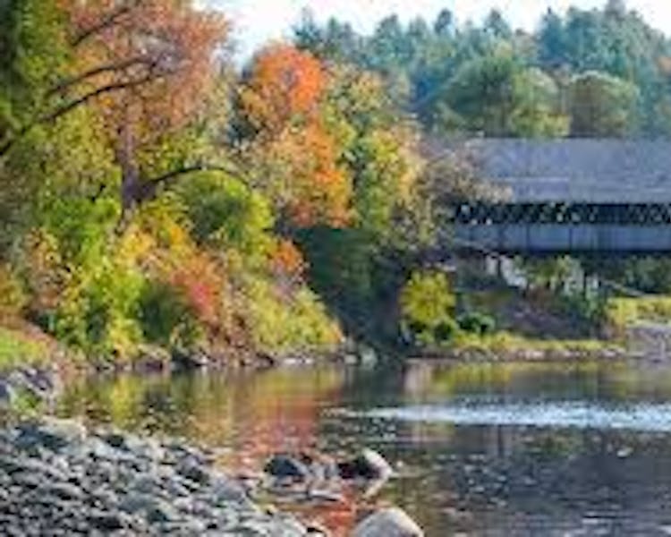 Fly Fishing