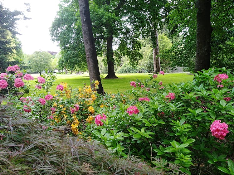 Ashburton Gardens & Domain,A great walk through Gardens are beautiful too and always well maintained all year round.