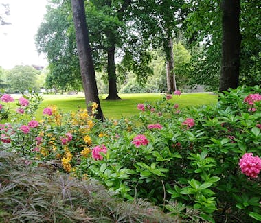 Ashburton Gardens & Domain,A great walk through Gardens are beautiful too and always well maintained all year round.
