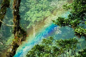 Nearby Attraction - Boquete Rainbow