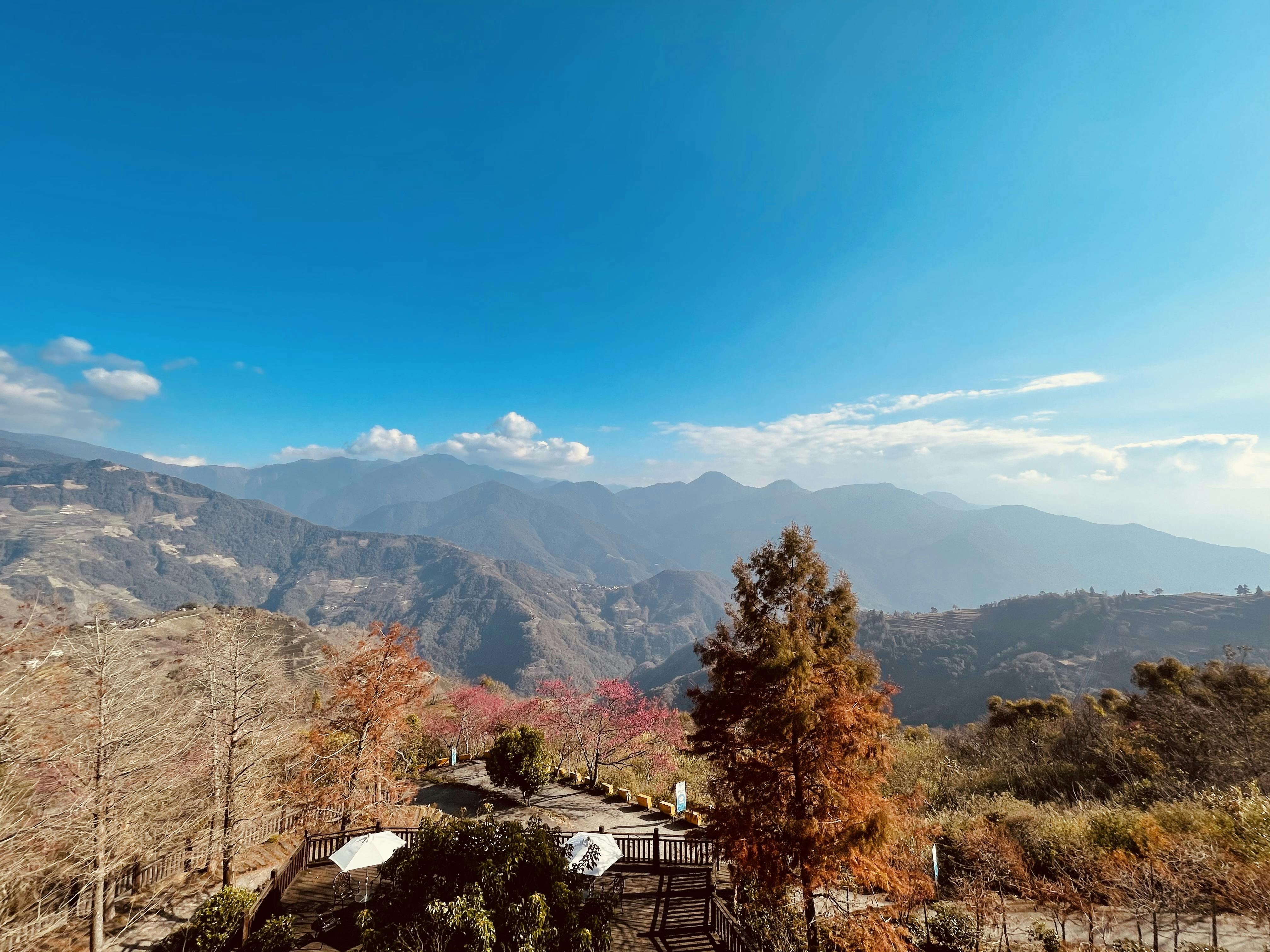清境羊角村鄉村民宿 - 四季美景環繞,享受大自然芬多精