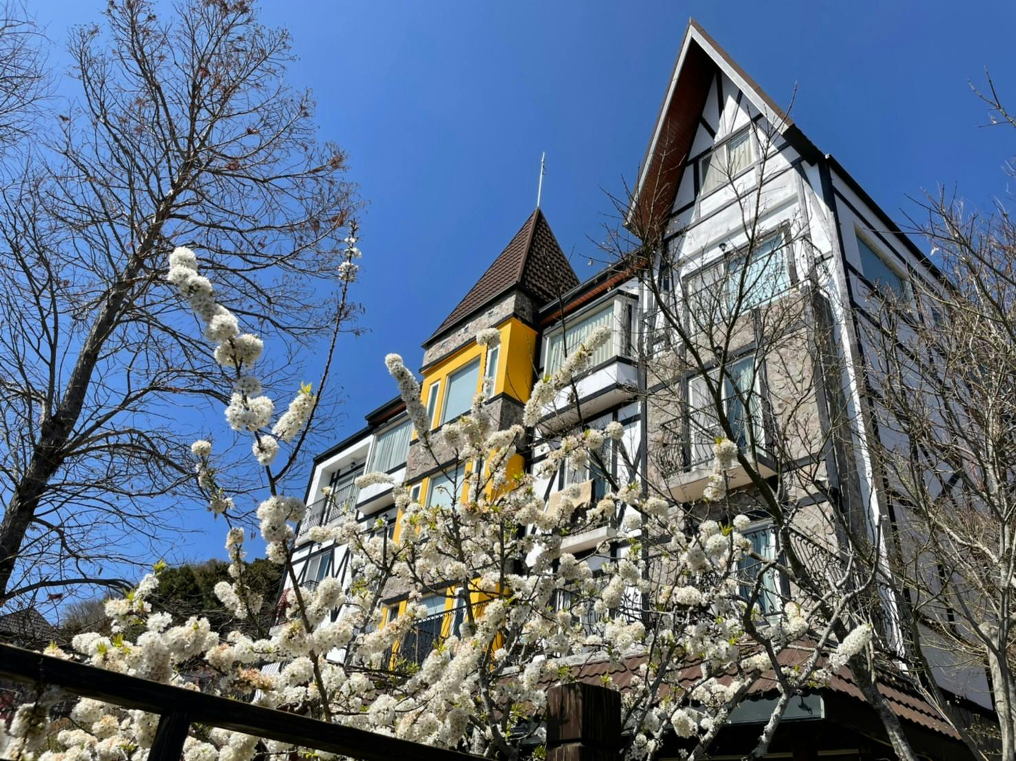 清境民宿清境羊角村庭園或附近景色