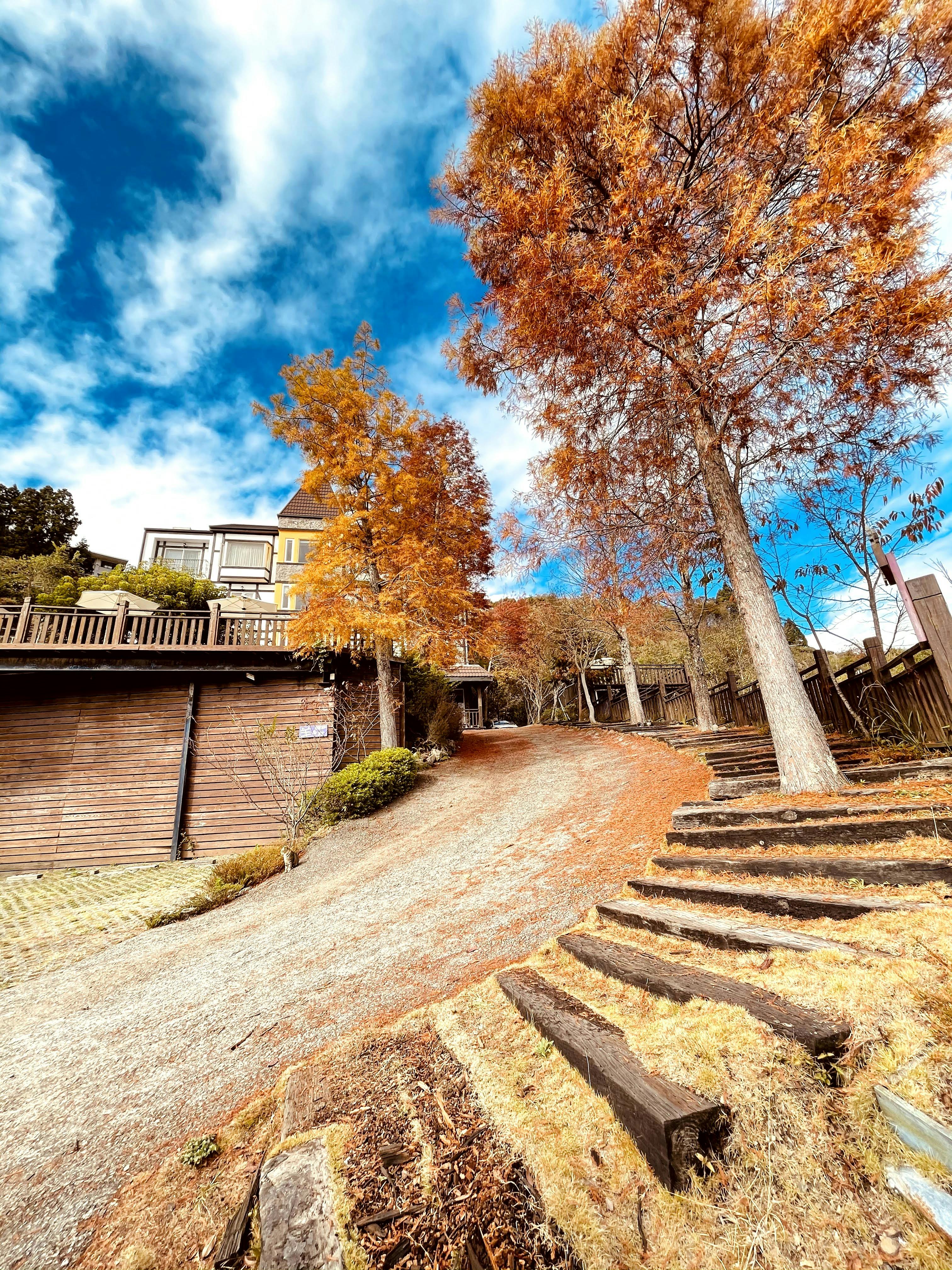 清境民宿清境羊角村美麗景色