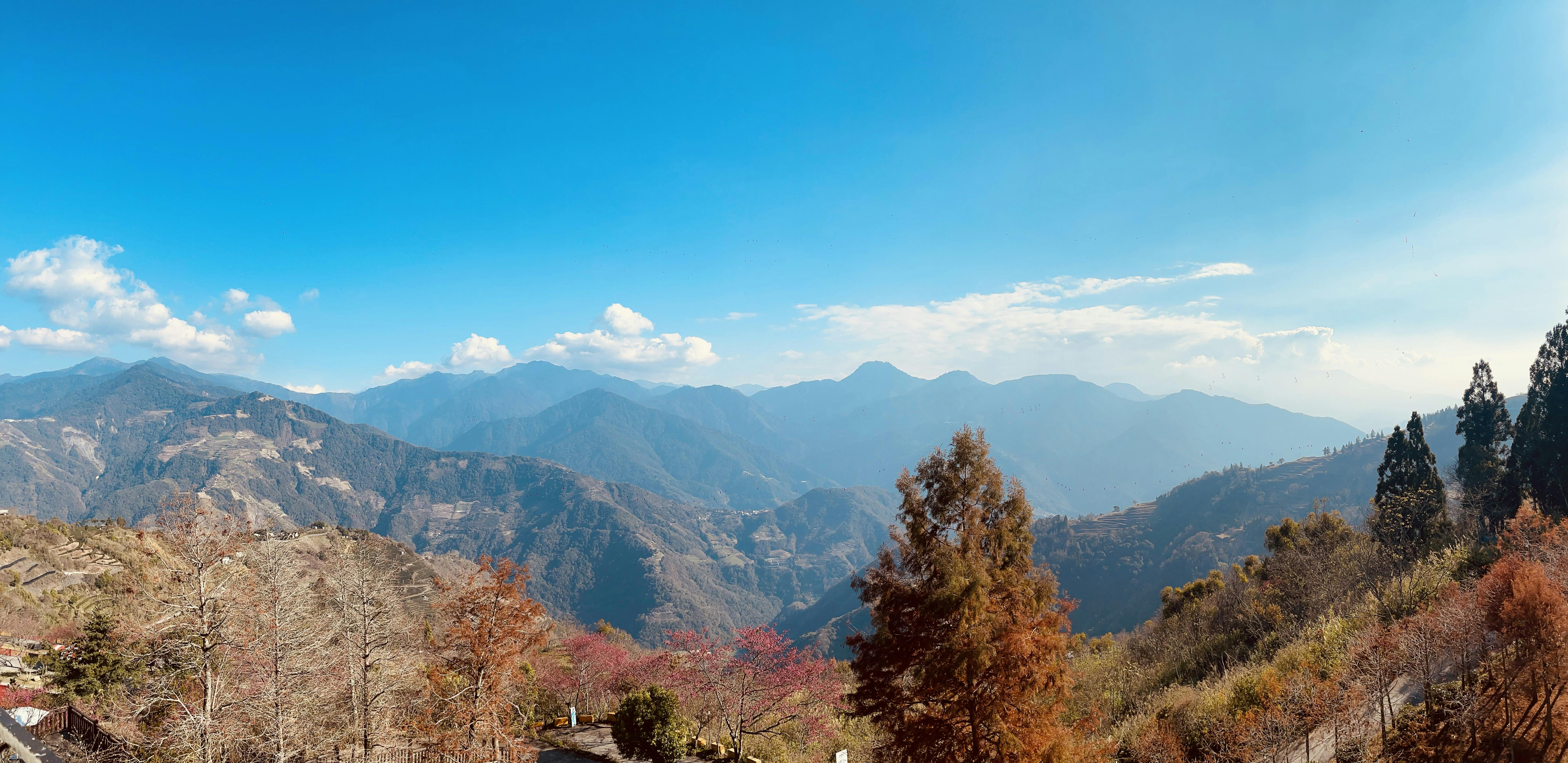 清境羊角村鄉村民宿 - 四季美景環繞,享受大自然芬多精