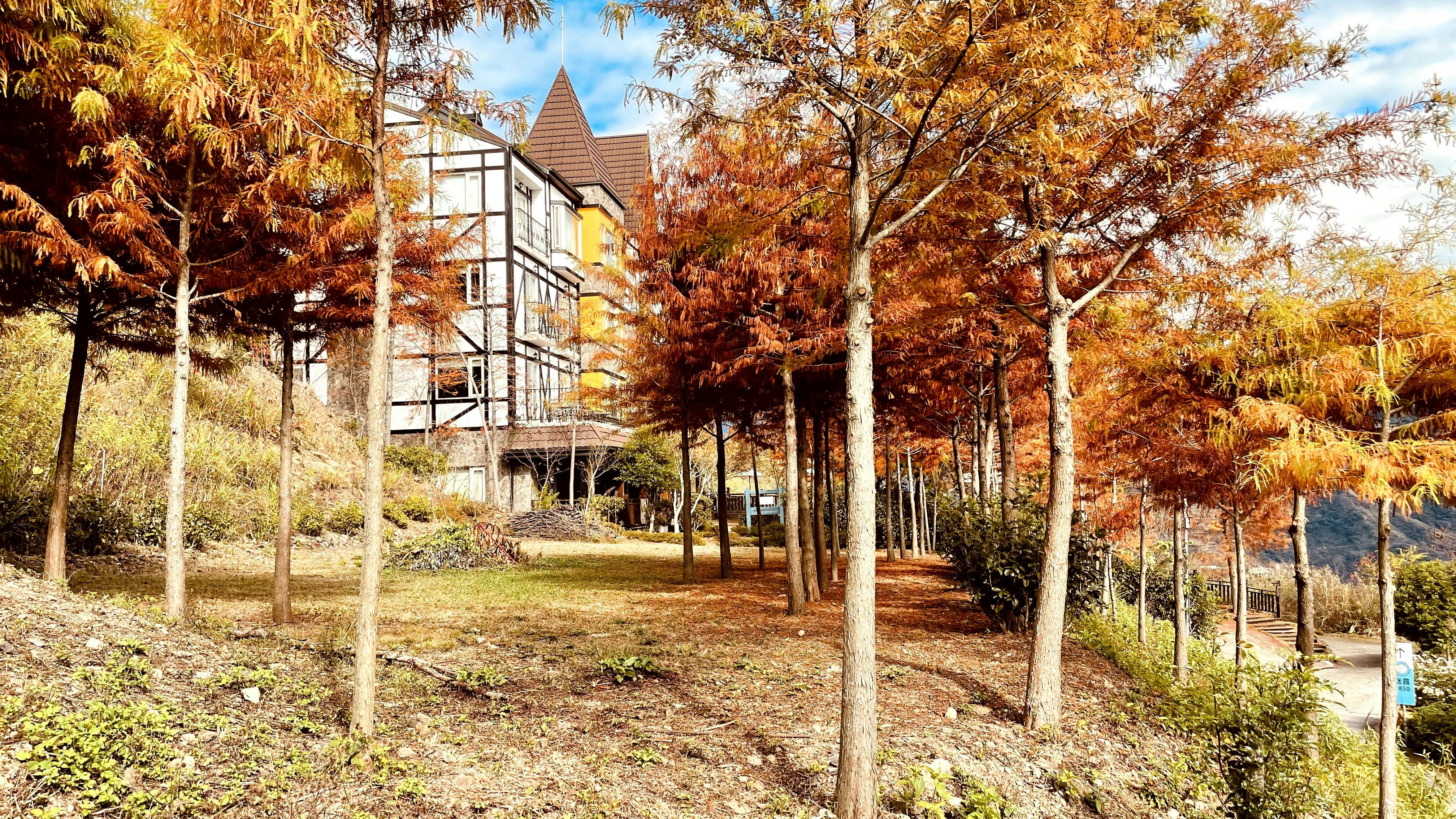 清境民宿清境羊角村美麗景色