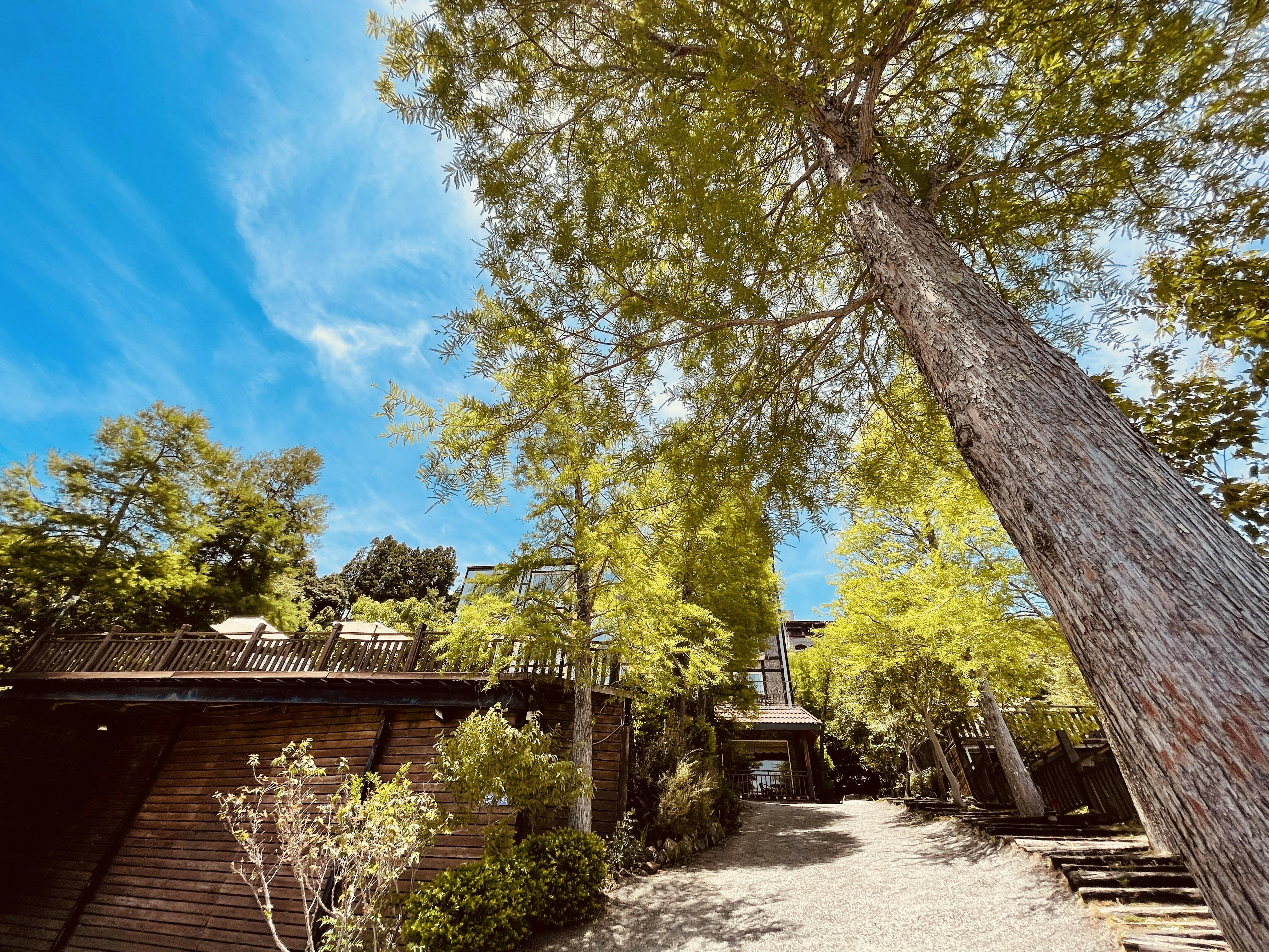 清境羊角村鄉村民宿 - 四季美景環繞,享受大自然芬多精