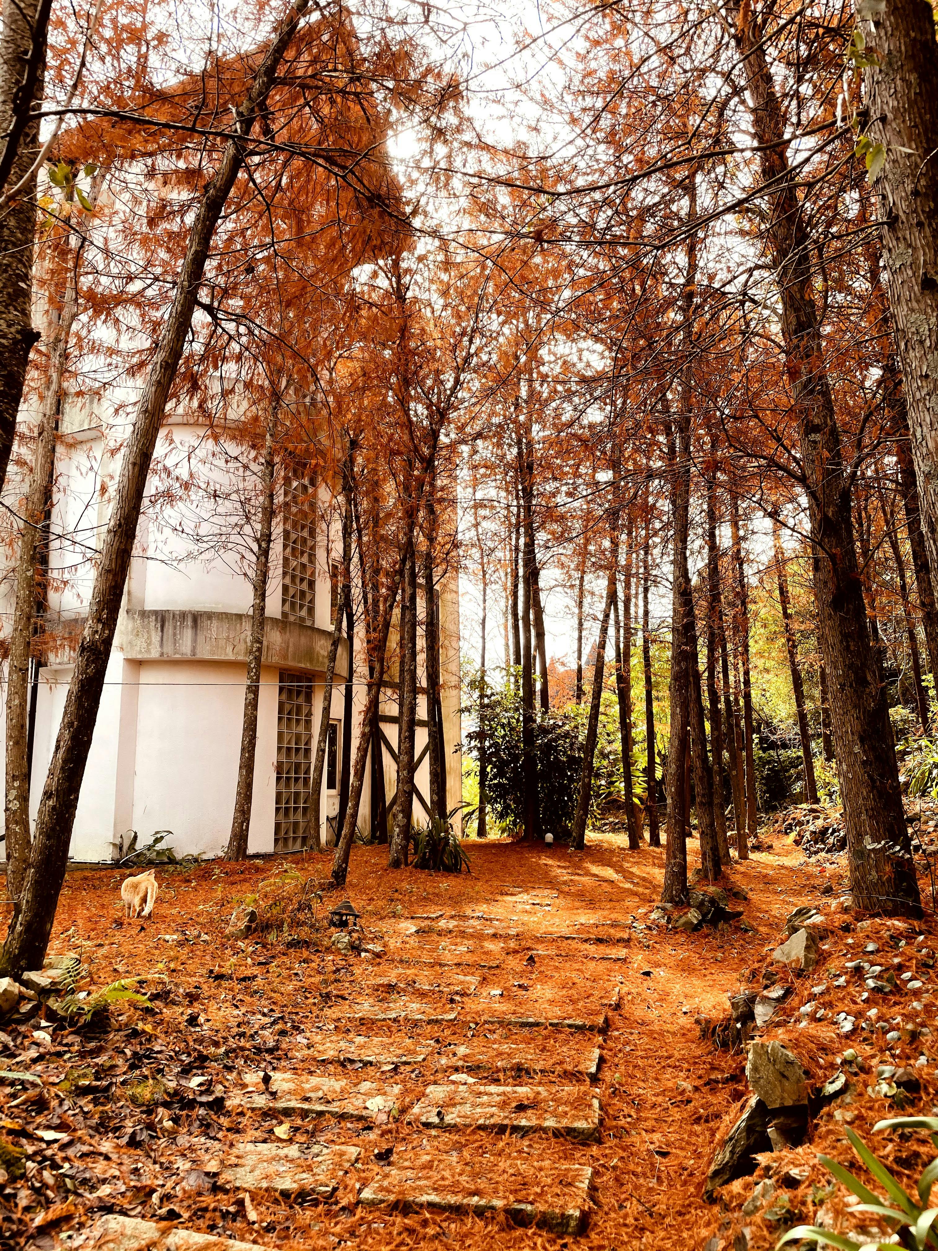 清境民宿清境羊角村美麗景色