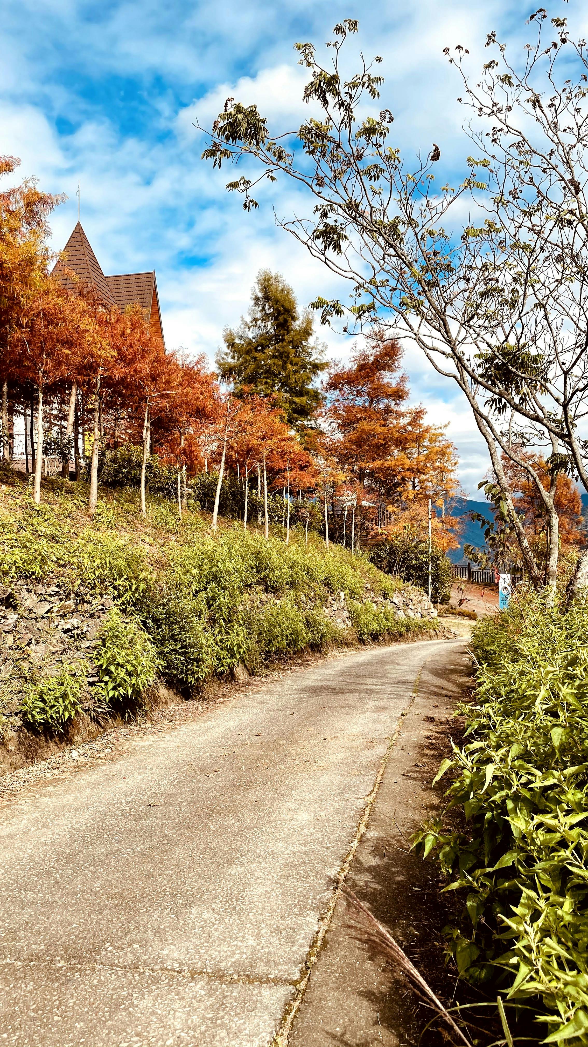 清境民宿清境羊角村美麗景色