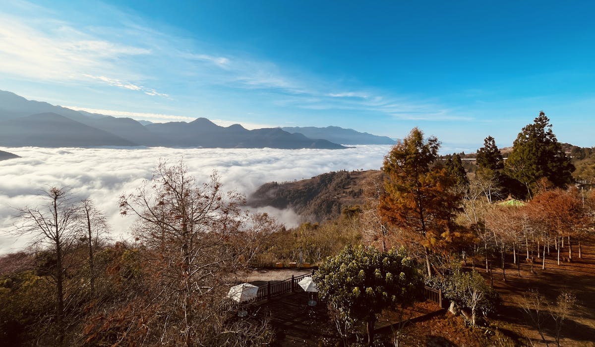 南投清境羊角村鄉村民宿 - 戶外庭院俯瞰青青草原山嵐