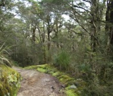 Heaphy Track
