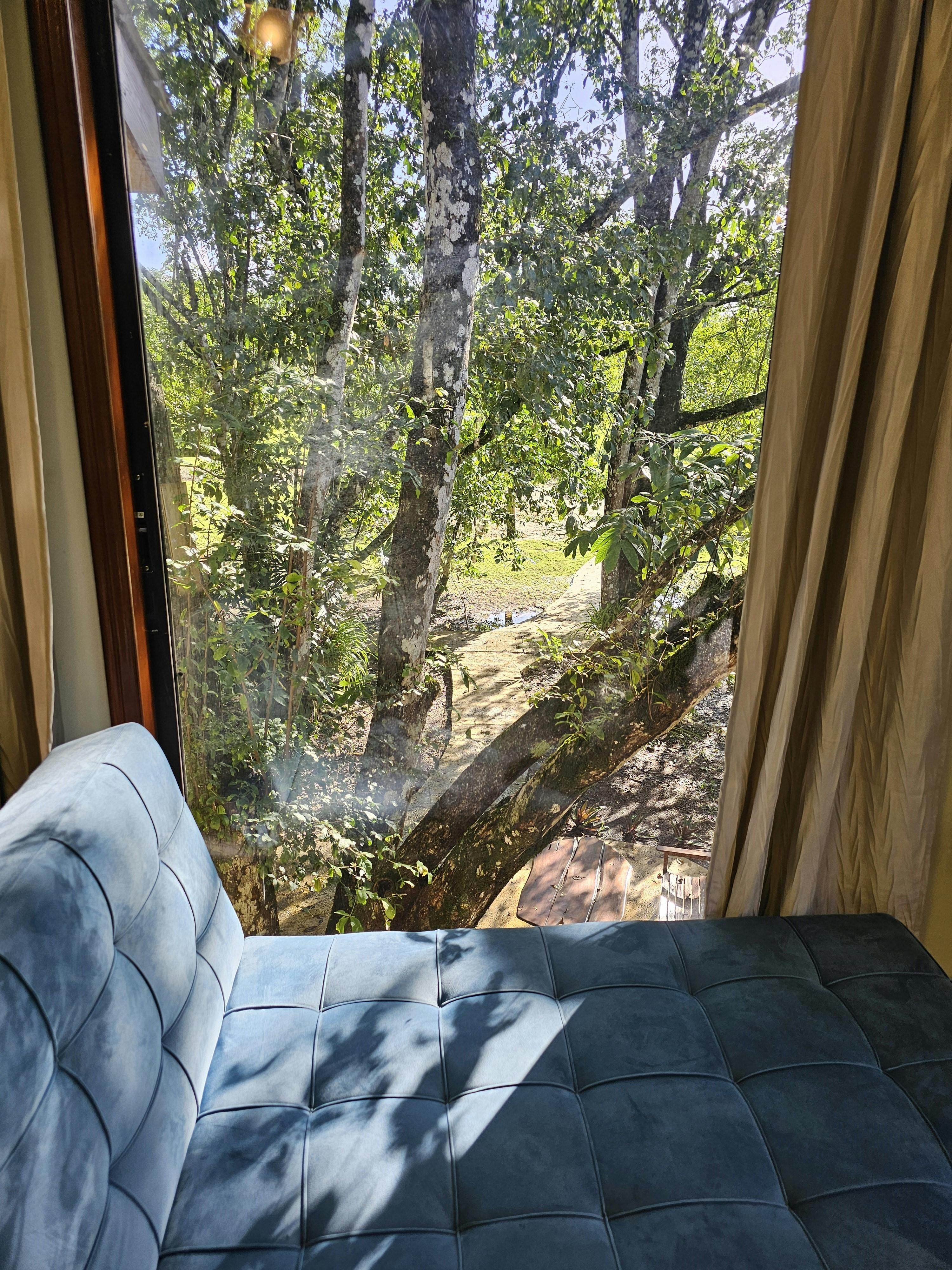 View from upper level bedroom chaise lounge of Tree House @ KikiWitz