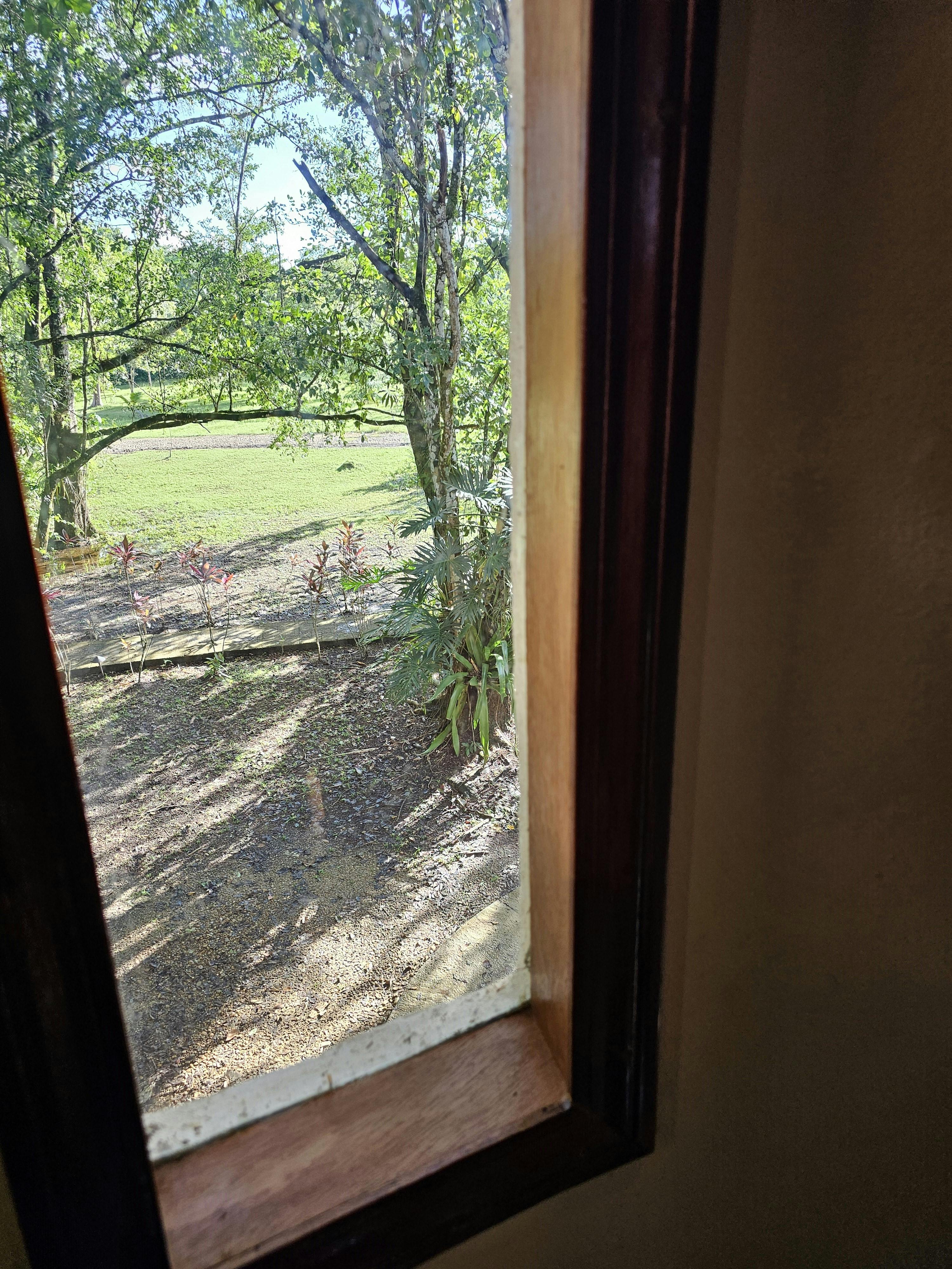 Tree House - view outside from staircase