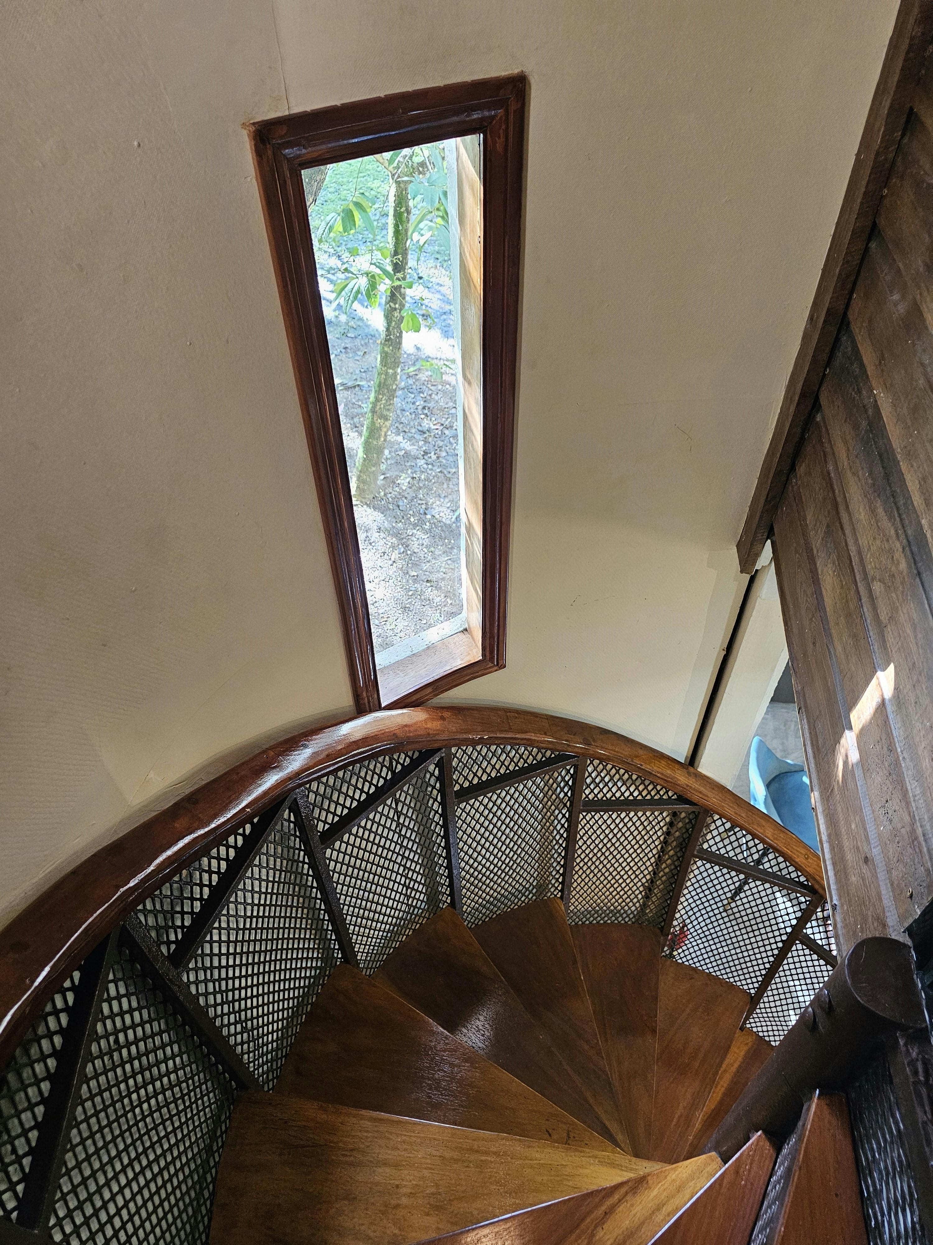 Tree House - staircase upstairs