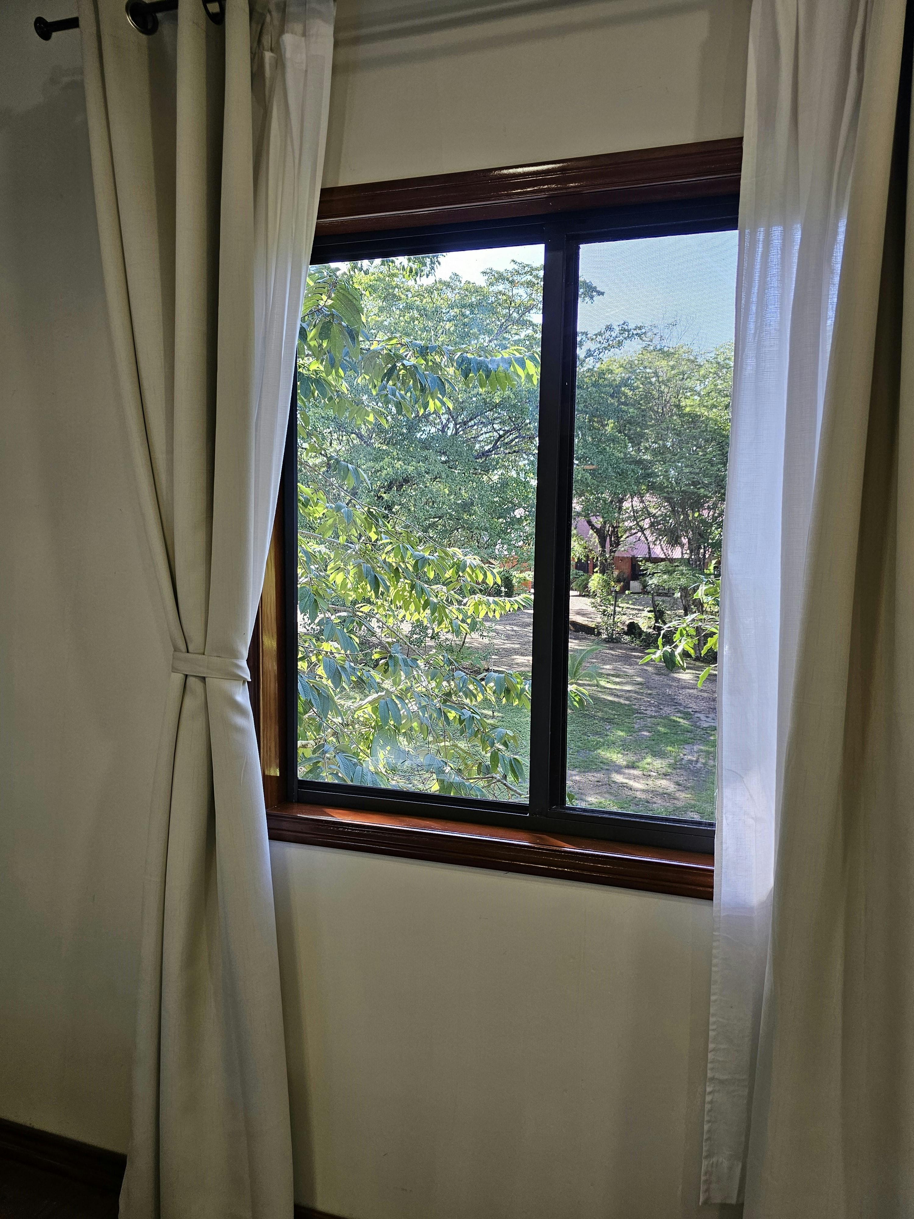 View from upper level bedroom of Tree House @ Kiki Witz
