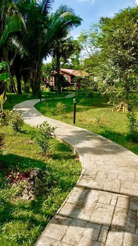 Garden Cabin - walkway