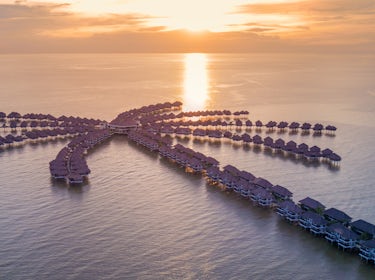 golden_palm_tree_overwater_villa 1