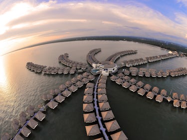 golden_palm_tree_overwater_villa 1