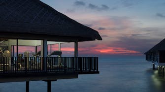 golden_palm_tree_gym