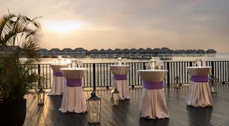 golden_palm_tree_palm_deck