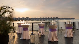 golden_palm_tree_palm_deck