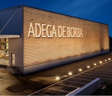 Adega de Borba, experiêsnicas vinicas em Vila Viçosa