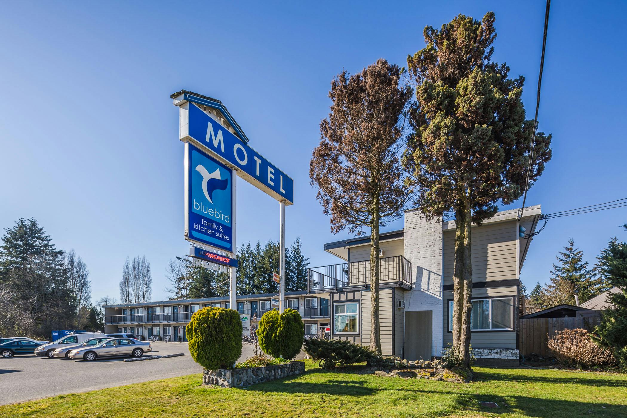 Gallery The Bluebird Motel