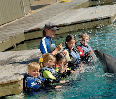 Sea World attraction in Gold Coast, Queensland, Australia