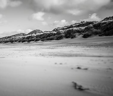 An empty beach in Portrush. Wind blowing over the dunes.
