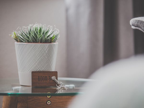 A cactus stand on a glass table and the room key is in front of it