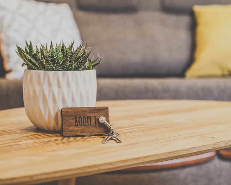 A cactus is on the table and the room key is in front of it. A couch with pillows standing in the background