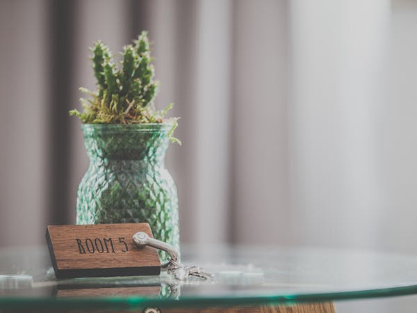 A cactus stand on a glass table and the room key is in front of it