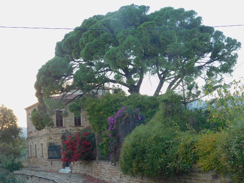 Αρχοντικό Σεκιάρη-Ζύμνη Sekiari- Zimni Mansion