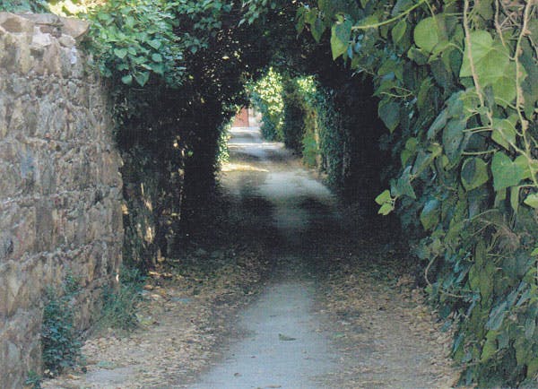 Στενά δρομάκια του Κάμπου Kampos's narrow paths