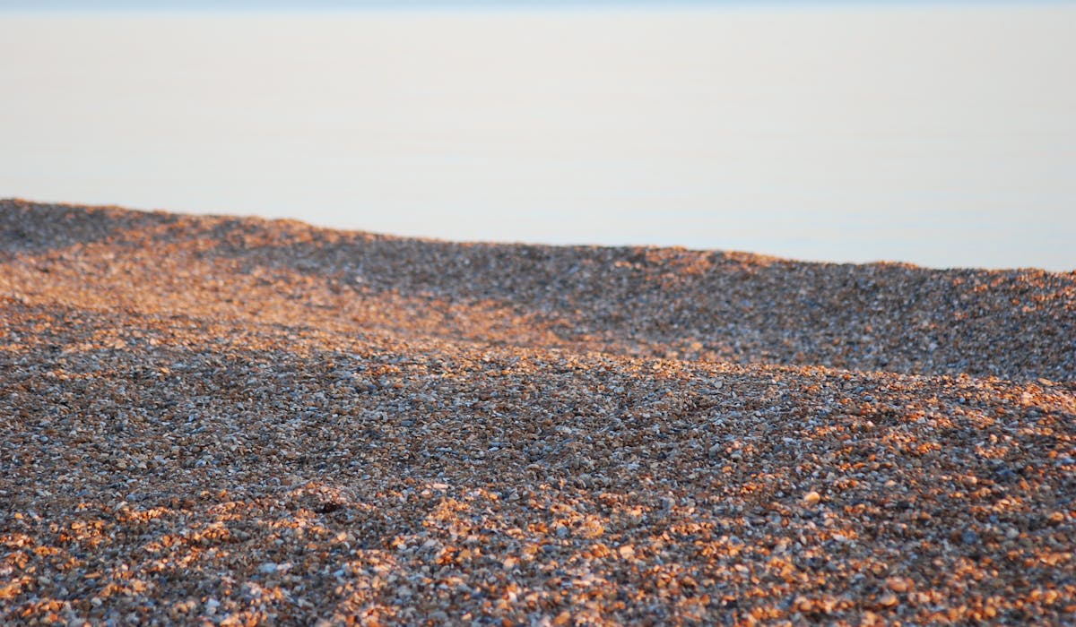 Shadows on the beach