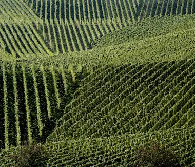 Hotel Eden Au Lac, Echternacht, Luxembourg