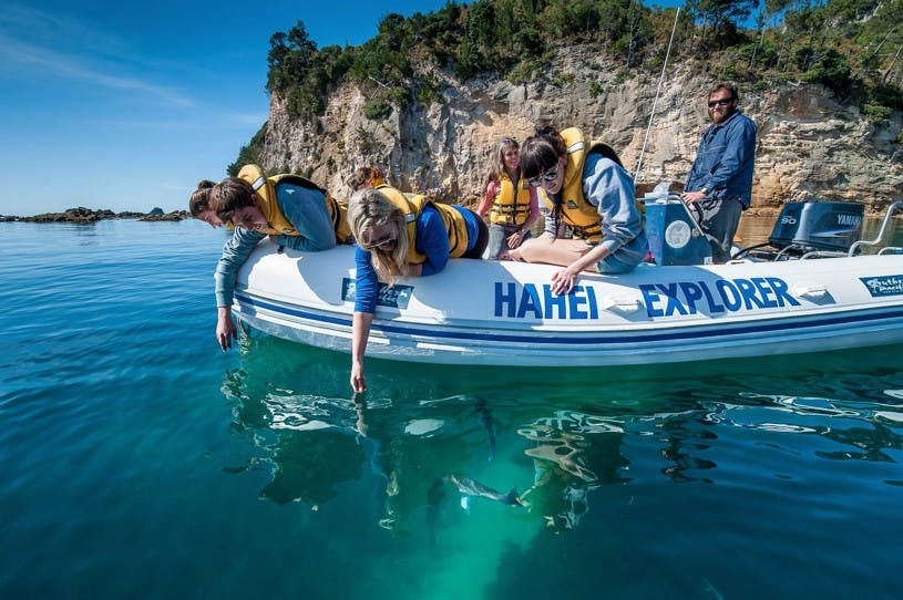 Hahei Explorer - 970 Lonely Bay Lodge