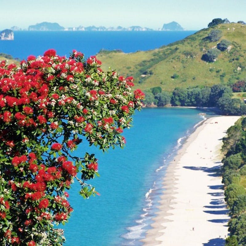 Hahei Beach - 970 Lonely Bay Lodge