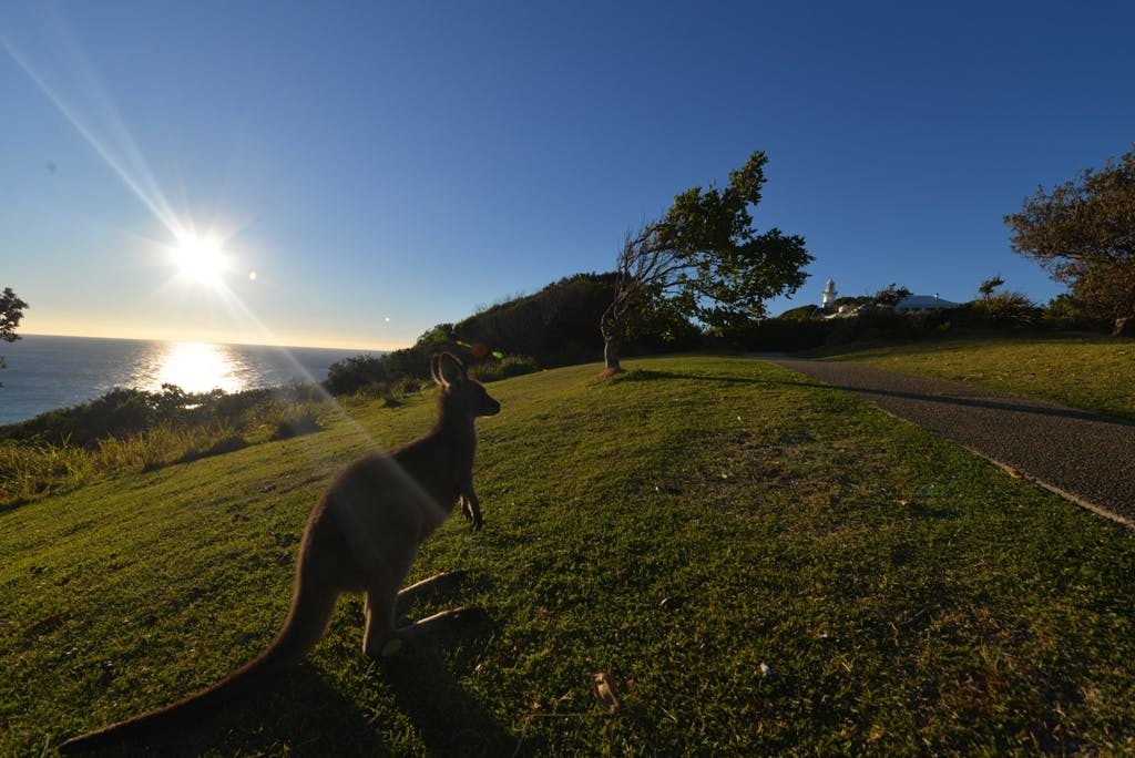 Arakoon National Park
