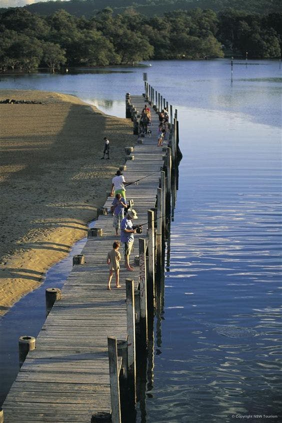 Fishing South West Rocks