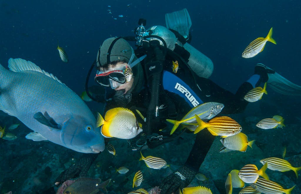 Diving - Fish Rock Cave