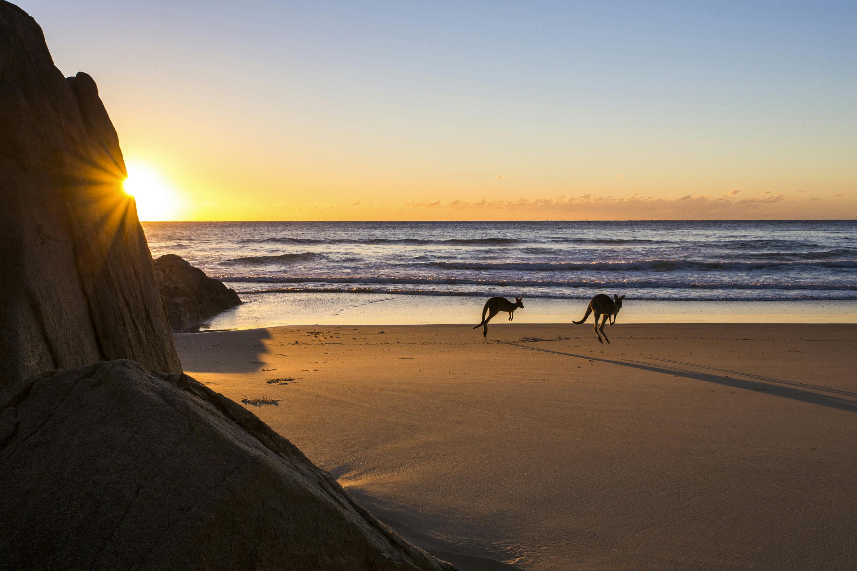 Little Bay South West Rocks