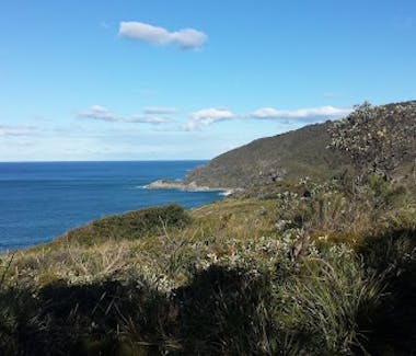 Arakoon National Park, South West Rocks